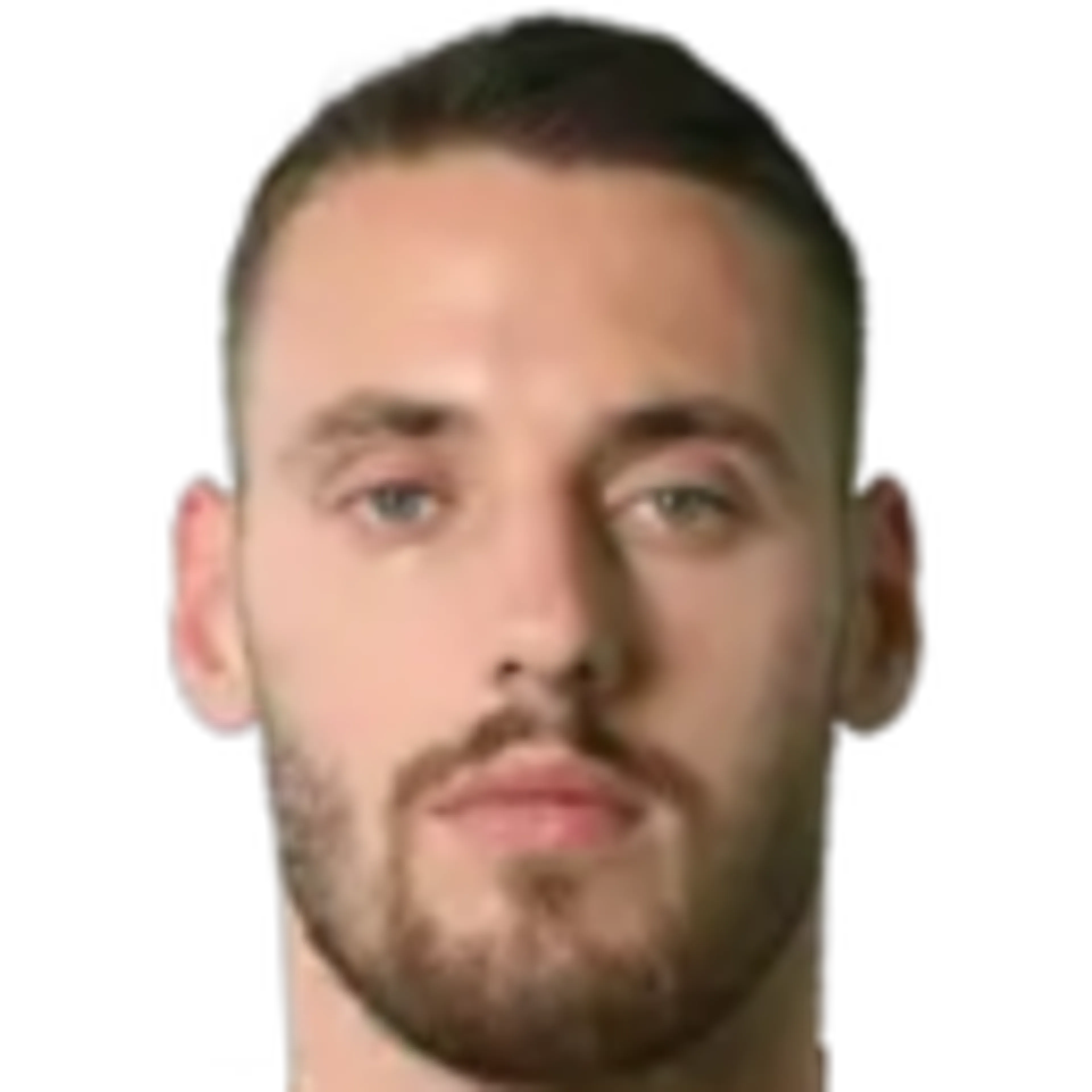 N. Vlašić