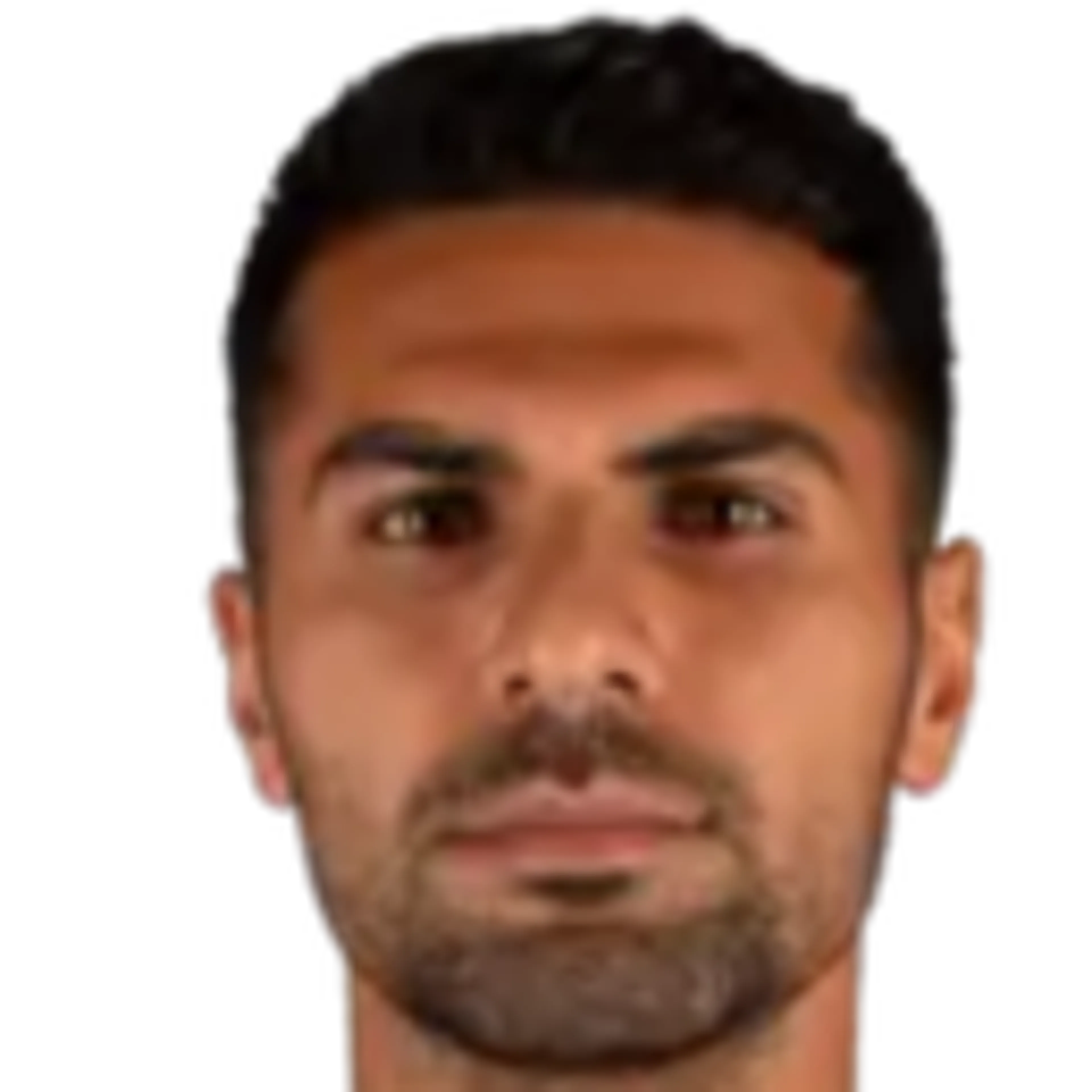Z. Çelik