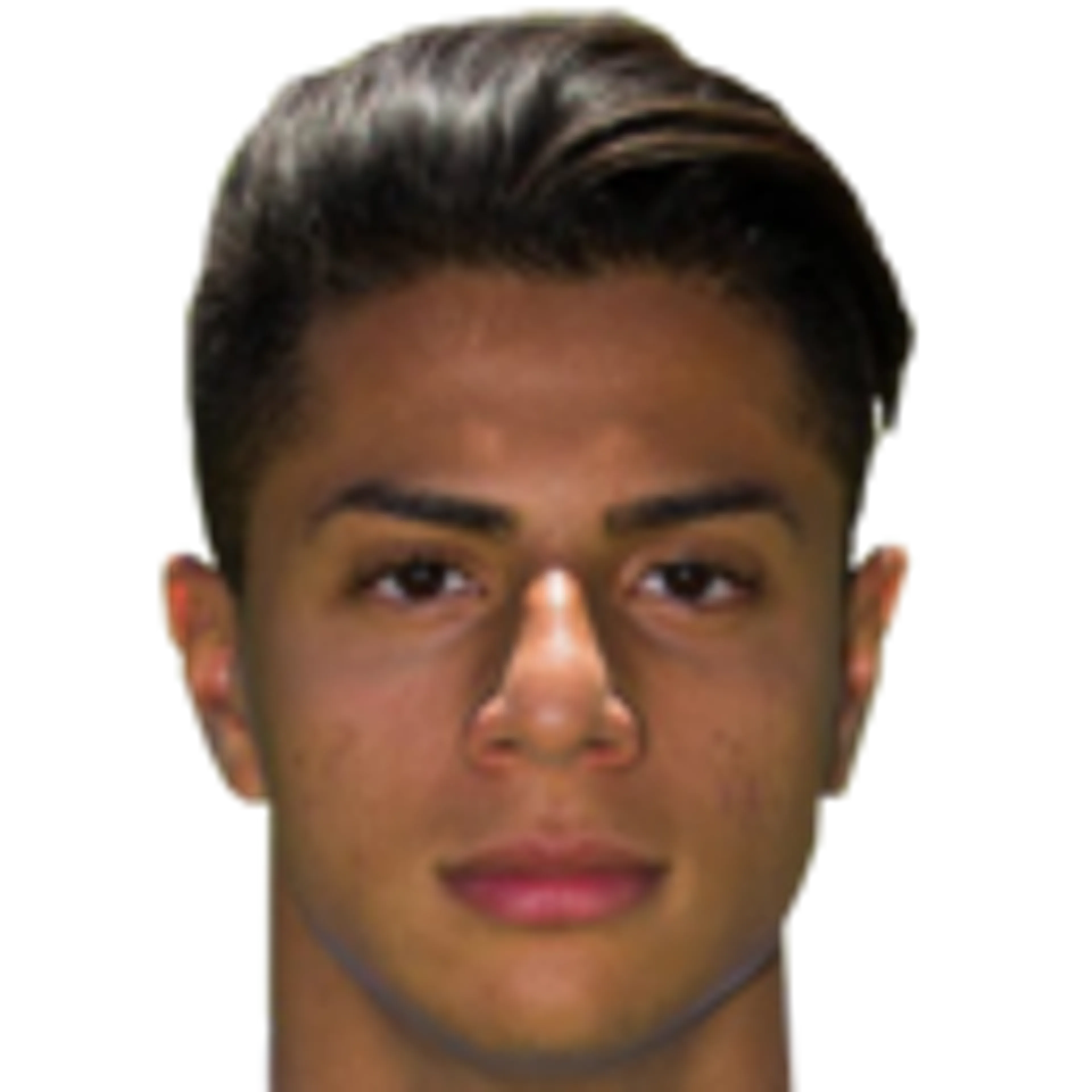 H. Mastour
