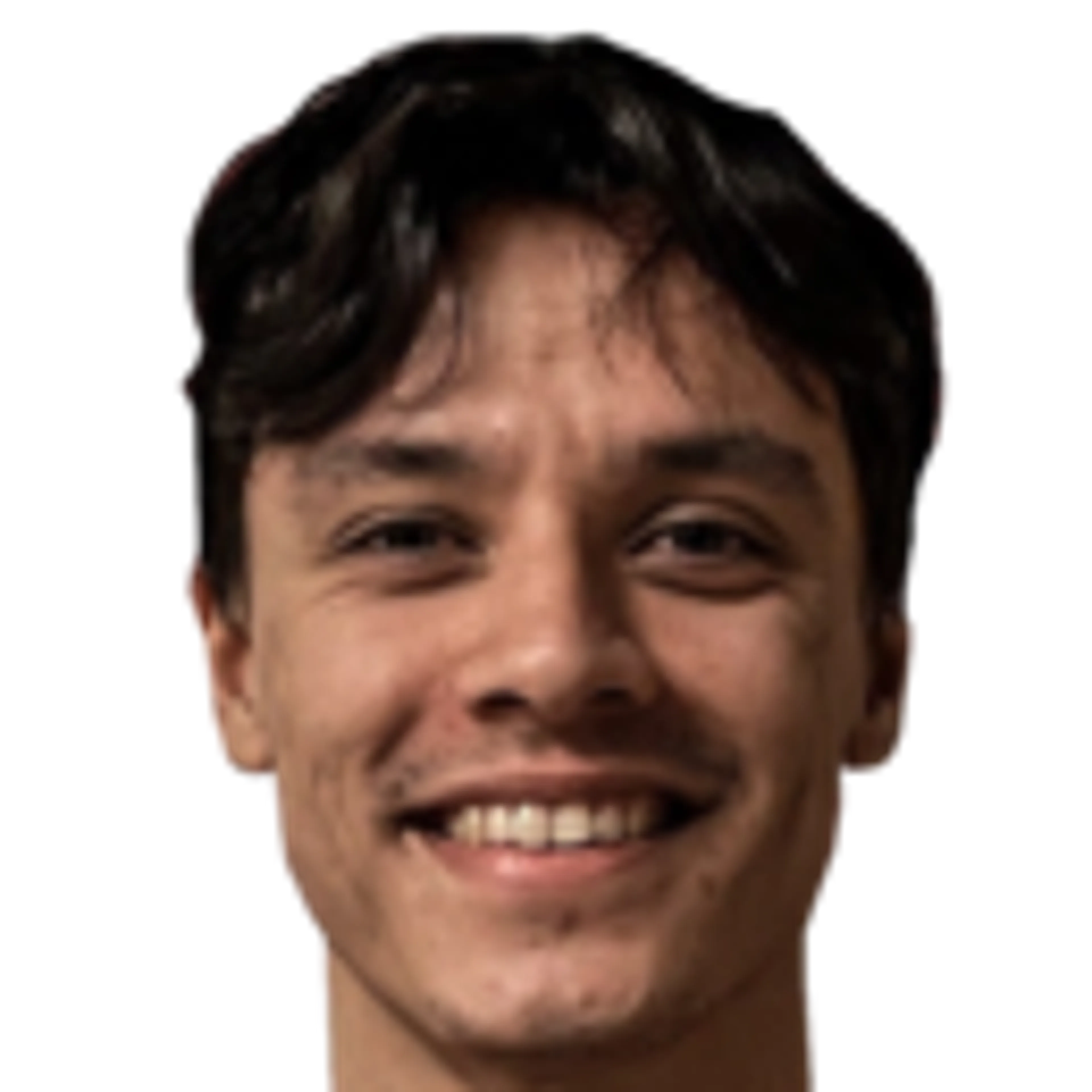 V. Garcia
