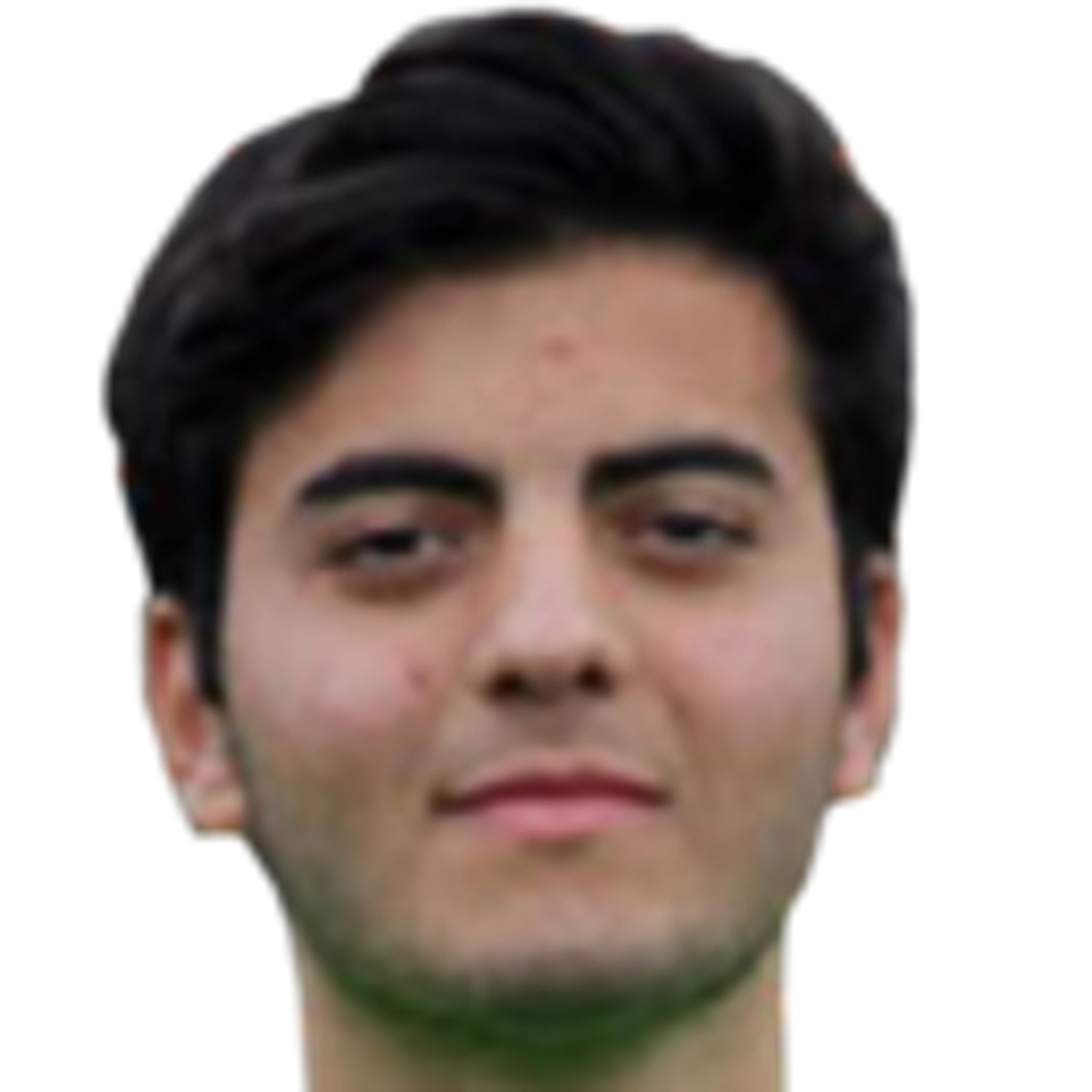 Ö. Soylu