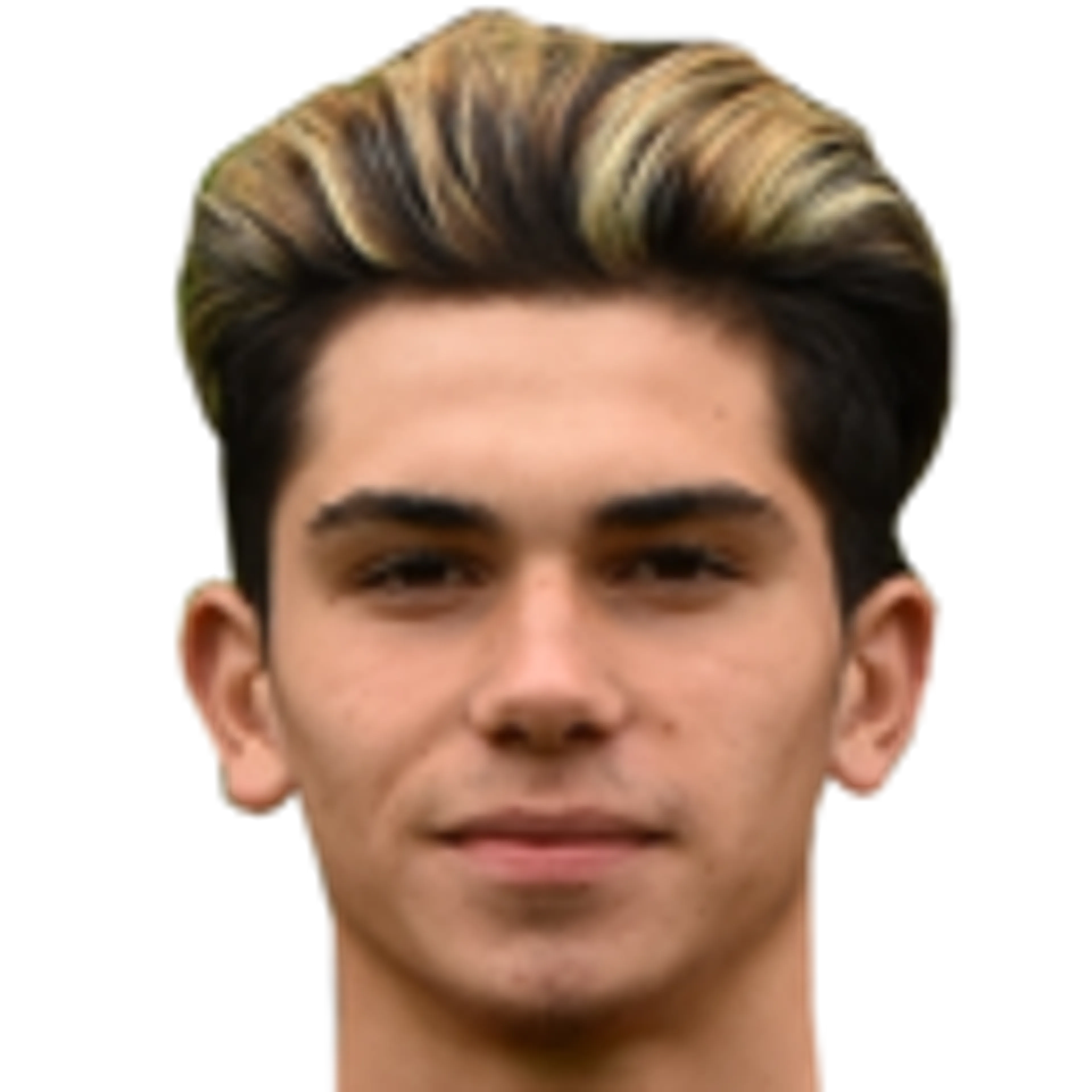 L. da Cunha